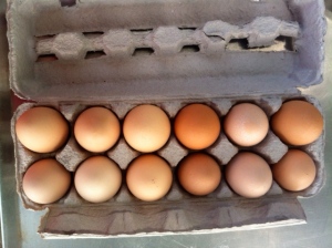 check out those brown eggs!
