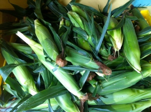sweet corn is here!